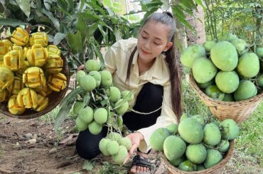 Pick apple mango mix with salt chili / apple mango my recipe / srey neang cooking vlog
