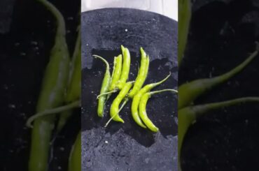 Simple Fried Chilli Recipe | Ritu's Kitchen