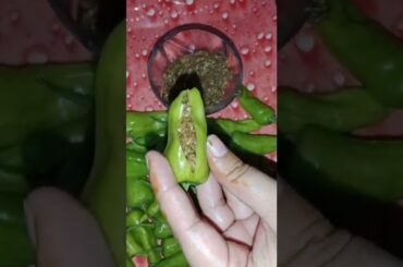 Green Chili Filled Recipe | Filled Fry Green Chili Recipe | Warda's Tarka