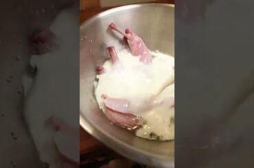 Fried rabbit with Calabrian chili honey #shorts