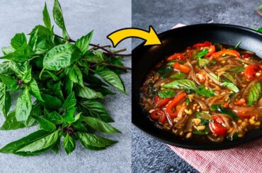 Universal Thai Basil Sauce Recipe!