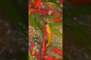 mircha food recipes how to make mircha sabji re..