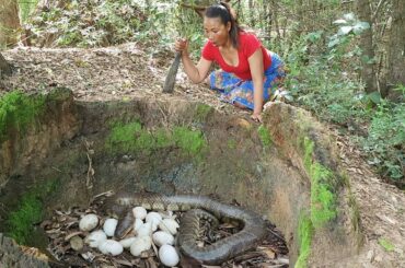 Found a lot big snake egg in pit - Cooking egg with chili sauce for food in forest