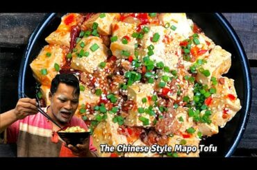 New Style, Mapo Tofu, Fried Tofu with pork and chili past, Authentic Chinese Mapo Tofu