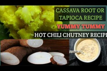 Cassava root or tapioca recipe and Hot chilli recipe#recipes