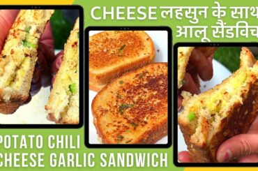 cheese garlic sandwich recipe in hindi | potato cheese chili sandwich | potato chese garlic sandwich