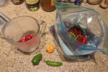 Food suggestions to use these beauties?