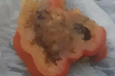 I bought some pickled habaneros and some of slices seem to have some kind of brown/black mushy thing around the seeds. Any ideas what it might be and if its edible?