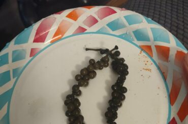 Pickled peppercorns! Not a lot of heat, but great flavor overall