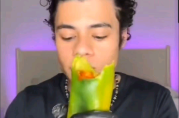 Found on r/stupidfood