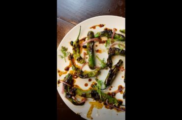 Chili Oil Shishito Peppers
