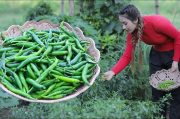 Fresh green chili and cook chicken soup recipe in my homeland - Polin lifestyle