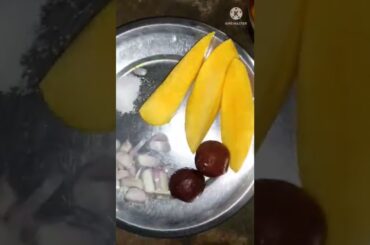 rice with desi chiken and mango with chili ,and onion