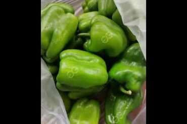 New Red Pepper Chili Green Capsicum Grinding Machine 2022