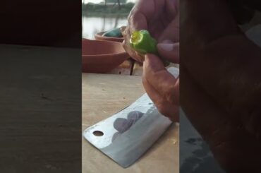 green chili #justcut #shorts #youtubeshorts