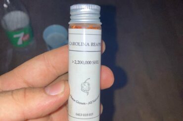 My friends emptied this onto my pizza and everything around and in my mouth was burning and all I could taste was blood Holy fuck 2200000 SHU hurts