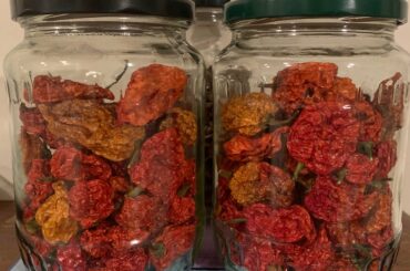 My reapers dehydrated beautifully.