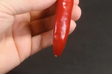 Time lapse of a pepper