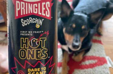 Wow. Hot Ones Pringles. The green ones were good, the red ones are INSANE. (Bonus dog)