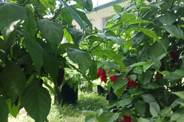 I didn't expect all these to do so well