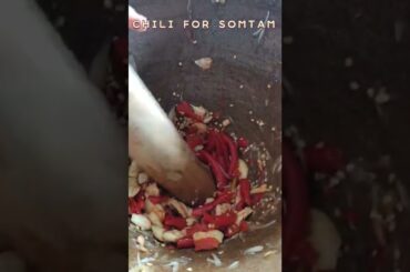 CHILI FOR SOMTAM | HOW MUCH  CHILI FOR SOMTAM #shorts #somtam #thaifood #streetfood #foodie