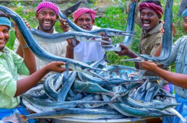 SNAKE Like Fish! 100 KG GARFISH Recipe Cooking | Fried and Tawa Dried Fish Fry | Seafood Recipes