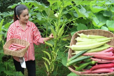 3 colors of okra in my vegetable garden / Yummy okra recipe / Cooking with Sreypov