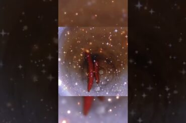 Homemade Red Chili Flaxes In 2 Minutes | #shorts #recipe #youtubeshorts #spice