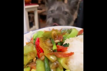 How to Chili Pepper Shrimp