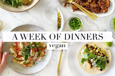 A Week of Dinners (Vegan & Summer Recipes!) | JessBeautician
