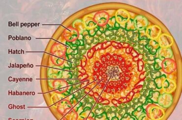 How would you guys eat it. Just going around, or straight to the middle, between the crust area and the middle, or another way?