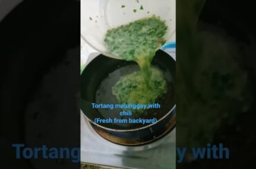 tortang MALUNGGAY with chili(fresh from backyard)