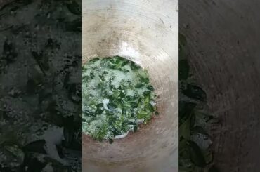 curry leaves , green chili #asmr #cooking #recipe #shorts #sub #subscribe #tasty #howtocookeasy
