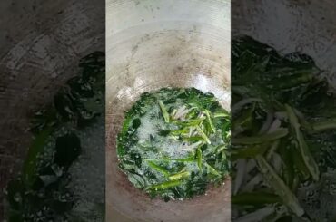 curry leaves , green chili #asmr #cooking #recipe #shorts #sub #subscribe #tasty #howtocookeasy