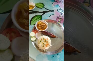 deshi lunch thali/ bengali food vlogger/ lunch menu independence day special/ chili flakes