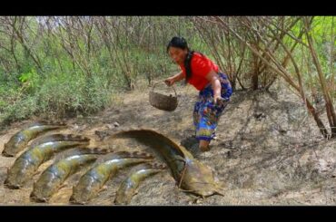 Dalin catch fish in mud recipe- grilled fish with hot chili sauce- eating so good HD