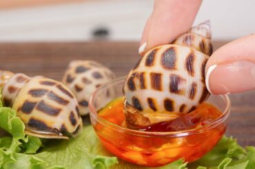 Cooking Miniature Sea Snail in Spicy Chili Sauce Recipe | ASMR Cooking Mini Food & Satisfying Video