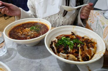 Sweet potato noodles in hot and sour soup & spicy dumplings - My intestines are on fire today