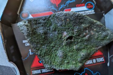 The 2022 Paqui chip isnt the best looking thing....