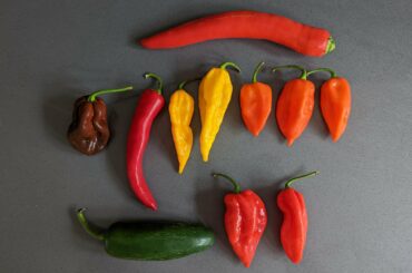 Bought a mixed bag of peppers, can anyone help me identify what I got?