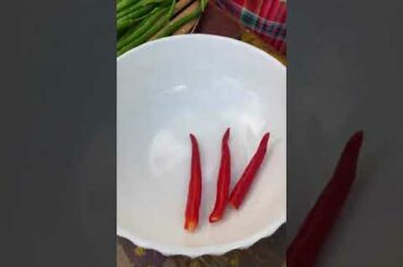Chopped Chili Pepper Sauce Part 1