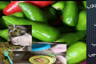 Green Chili Recipe | Hari Mirch Fry Recipe | BBQ Green Chili Recipe By AKF