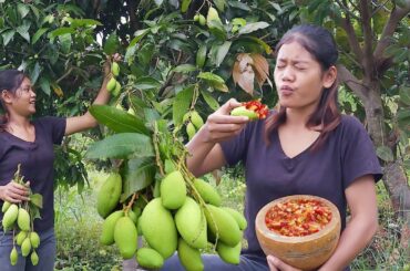 Survival skill in forest: Sour green mango with Hot salt chili - So mouth watering food