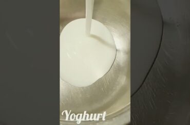 Ginger chili Yoghurt