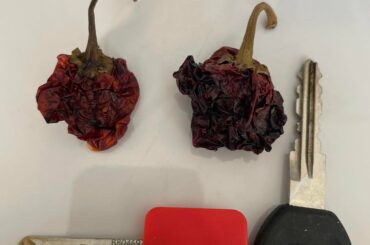 Can anyone identify this dried pepper?