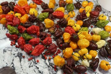 Good day at the market