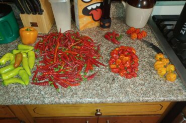 Fresh from the garden