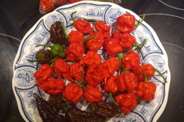 Big plate of hot peppers!