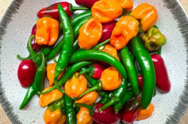 I’ve made hot sauce, salsa and curry. I need ideas, my freezers full and I need to start using some. What do I do next?