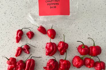 Could anyone help me identify what peppers are in this mixed bag I bought? I tried to put the similar looking ones next to each other. Thanks!